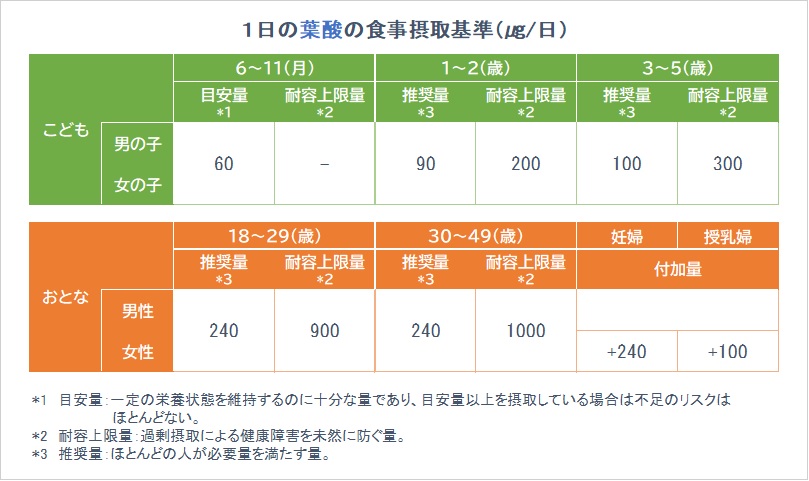 95 が水分 夏バテ対策におすすめな薬味みょうがの栄養 効能とは Nomina