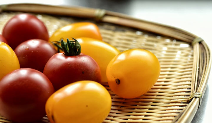熟れすぎトマトでも大丈夫 簡単トマトソースの作り方 Nomina