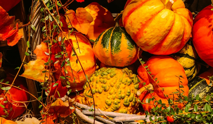 ハロウィン目前！まるごとおいしい健康食材・かぼちゃの栄養と効能